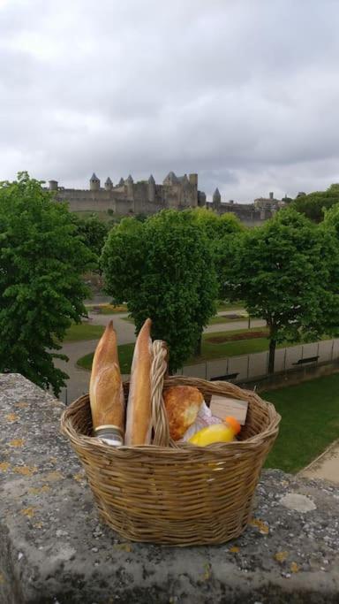 Appartement Carcassonnais Avec Parking Carcassonne Zewnętrze zdjęcie